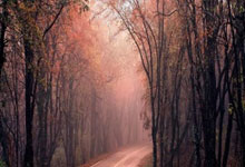 AG米兰体育：2024中超年度颁奖典礼将在1月8日晚上7点半举行.