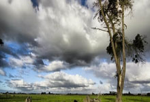 AG米兰体育：2-1，25岁曼联弃将险轰世界波+妙传遭浪费，现场视角还原，太可惜.